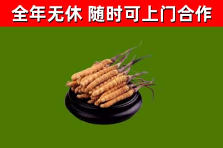 玉树烟酒回收冬虫夏草.jpg